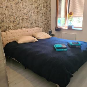 Villard-Saint-SauveurAppartement au cœur du Haut-Jura的卧室内的一张带两个枕头的床