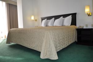 萨卡特卡斯Arroyo Express的一张大床,位于酒店客房内