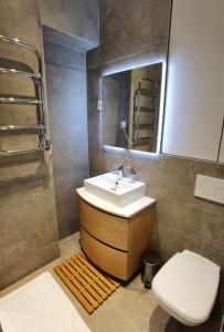 凡尔赛3 PIECES 4****, AU COEUR DU QUARTIER HISTORIQUE的一间带水槽、卫生间和镜子的浴室