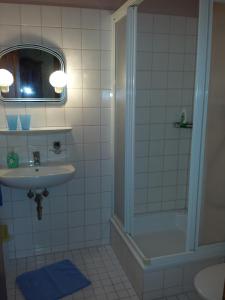 巴特拜尔索因布里吉特公寓的一间带水槽和淋浴的浴室