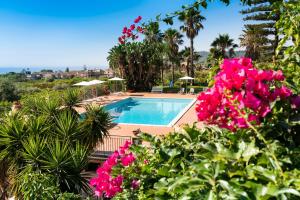 阿奇雷亚莱Suasor的一个带游泳池和粉红色鲜花的度假胜地