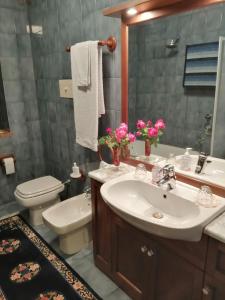 圣奇诺·迪·蒙塔尼亚B&B da Paolo con vista Lago di Garda的一间带水槽、卫生间和镜子的浴室