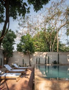 EspitaCasona los Cedros的后院设有带躺椅和树木的游泳池