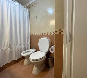 埃尔卡拉法特South Apartments的一间带卫生间和淋浴帘的浴室