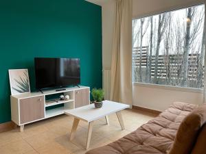 埃尔卡拉法特South Apartments的带沙发和电视的客厅