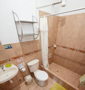 塔拉波托Huingos Eco Lodge的浴室配有卫生间、淋浴和盥洗盆。