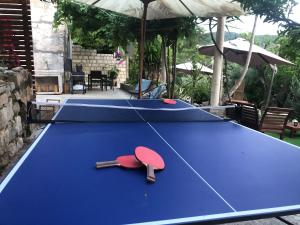 洛帕德SECRET PARADISE-Holiday home with hot tub and BBQ的一张蓝色乒乓球桌,上面有两颗乒乓球