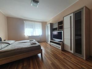 埃格尔Csillagfény Apartment的一间卧室配有一张床和一台平面电视