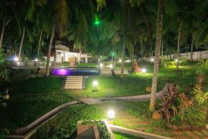 特里凡得琅Aanandakosha Ayurveda Retreat的公园里棕榈树和灯光照亮,晚上
