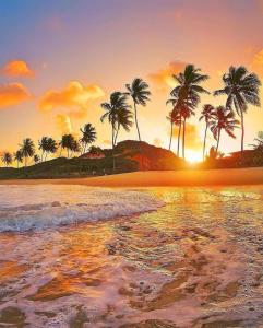 若昂佩索阿Pousada Refúgio的棕榈树海滩上的日落
