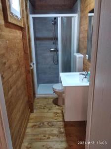 奥托纳Camping Borghetti的带淋浴、卫生间和盥洗盆的浴室