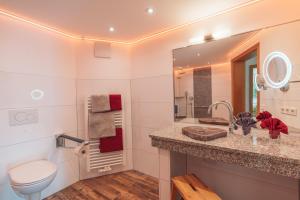 弗罗伊登施塔特兰得佳斯毫斯索尼酒店的一间带水槽、卫生间和镜子的浴室