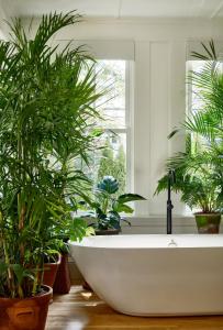 肯尼邦克港AWOL Kennebunkport的一间带盆栽植物和浴缸的浴室
