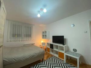 科拉欣Central & Cozy Apartment , Kolasin, Montenegro的一间小卧室,配有一张床和电视