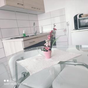 Velika MlakaStudio apartman Valentina的相册照片