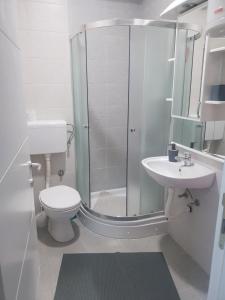ObrenovacRelax的带淋浴、卫生间和盥洗盆的浴室