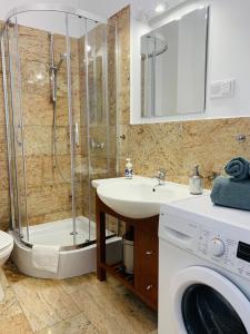 乔左维尔考普尔斯基Apartament Walczaka nr 16 MIEJSCE PARKINGOWE的带淋浴、盥洗盆和洗衣机的浴室
