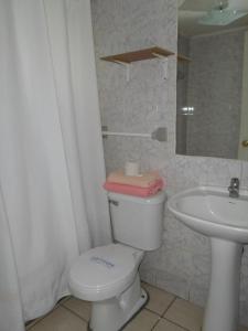 蒙特港Apart Hotel Fx的一间带卫生间和水槽的浴室