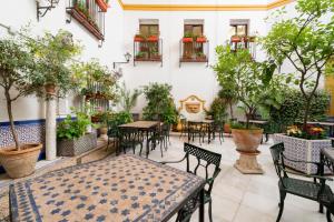 科尔多瓦欧洲之星迈蒙尼德酒店的户外庭院配有桌椅和树木。