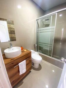 帕拉卡斯Nakua Paracas Lodge的一间带水槽、卫生间和淋浴的浴室