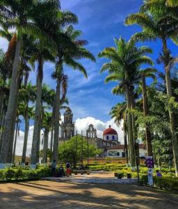 GuadalupeHostal Donde Jose的一座棕榈树公园,位于一座建筑前