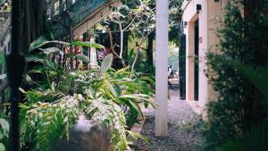 贡布贡布猴子共和国旅馆的一座花园,在建筑的一侧种植了植物
