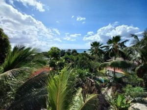 博瓦隆E&E自助旅馆的享有棕榈树度假村和大海的景致。