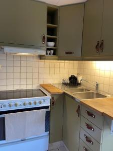 哥德堡Pia's Apartment的厨房配有水槽和炉灶 顶部烤箱