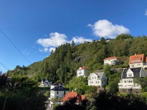 卑尔根Kjellerleilighet - nært Haukeland sykehus.的山丘上的一个村庄,有房子和树木
