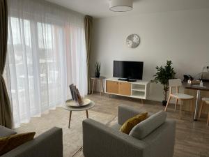 Combs-la-VilleDOMITYS LES NOTES FLORALES的带沙发和电视的客厅