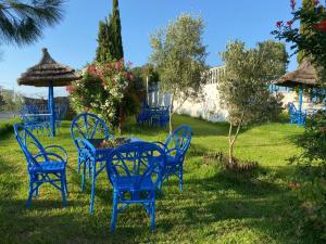 艾西拉La Perle De Briech的一组蓝色椅子和一张桌子,放在院子里