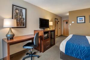 盖瑟斯堡Comfort Inn Shady Grove - Gaithersburg - Rockville的相册照片