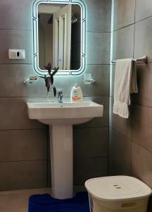 地拉那Unique Traditional House, hosted by J&G的一间带水槽和镜子的浴室