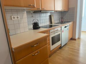 布雷根茨Apartments am Bodensee的厨房配有木制橱柜、水槽和炉灶。