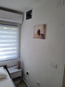维尔蒂尼克Apartmani Radaković的卧室设有窗户、一张床和一张桌子