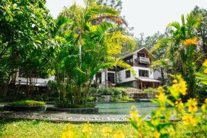 河内AMAYA HOME - Lodge, Spa & Restaurant的一座棕榈树的房子,位于游泳池前
