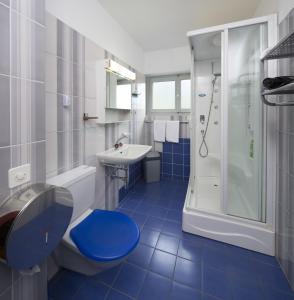 Gordevio优尼奥纳宾馆的浴室配有卫生间水槽和淋浴。