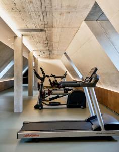 纽伦堡Karl August - a Neighborhood Hotel的健身房设有两个跑步机和一个跑步机