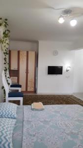 奎兹洛达Светлая квартира для гостей的一间卧室配有一张床、两把椅子和电视
