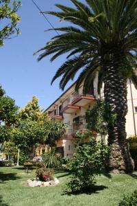 托沙阿卡达酒店的一座建筑前的棕榈树