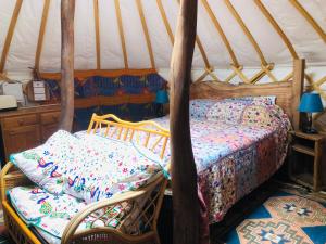 斯托尔河畔希普斯顿Cotswolds Camping at Holycombe的蒙古包内一间卧室,配有一张床和椅子