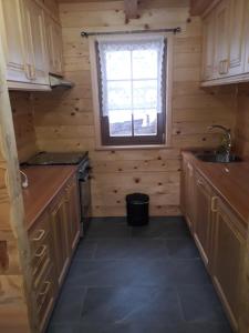 Donji Babin PotokPlaninske kuce Good Night的一个带木制橱柜和窗户的小厨房