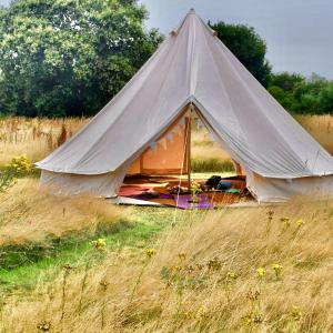 ColkirkThe Oaks Glamping - Jasper's Shepherds Hut的草丛中的帆布帐篷