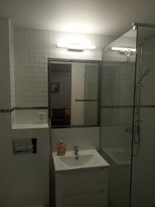下乌斯奇基BiesCzadowa Dolina的浴室配有盥洗盆和带镜子的淋浴