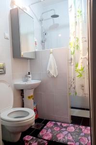 索科矿泉村Mist8的浴室配有卫生间、盥洗盆和淋浴。