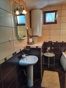 采蒂涅Apartments Aleksandra Cetinje的一间带水槽和镜子的浴室