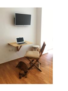 拉里萨Kinfeels' downtown apartment B1的一只狗躺在地板上,旁边是椅子和笔记本电脑