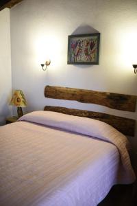 瓦斯卡坎波Hotel La Casona Real的卧室配有一张床,墙上有两盏灯