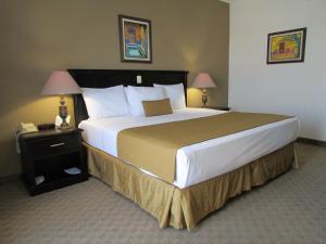 托雷翁波萨达德尔里奥贝斯特韦斯特快捷酒店的一张大床,位于酒店带两盏灯的房间