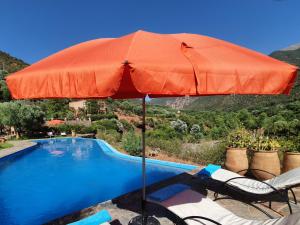奥伊俄贞非洲古堡酒店的游泳池旁的橙色遮阳伞